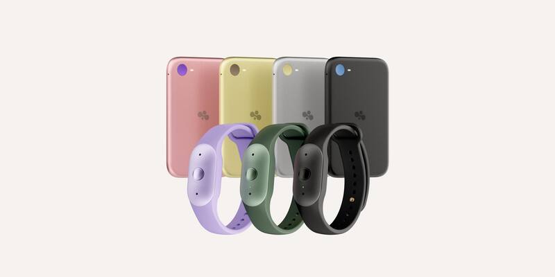 Four credit-card-sized Bee Eclipse devices in pink, gold, silver and black behind three Bee Frontier wristbands in lavender, green and black, on a pale background