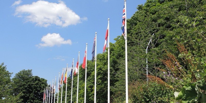 A long row of national flags on white flagpoles against a blue sky